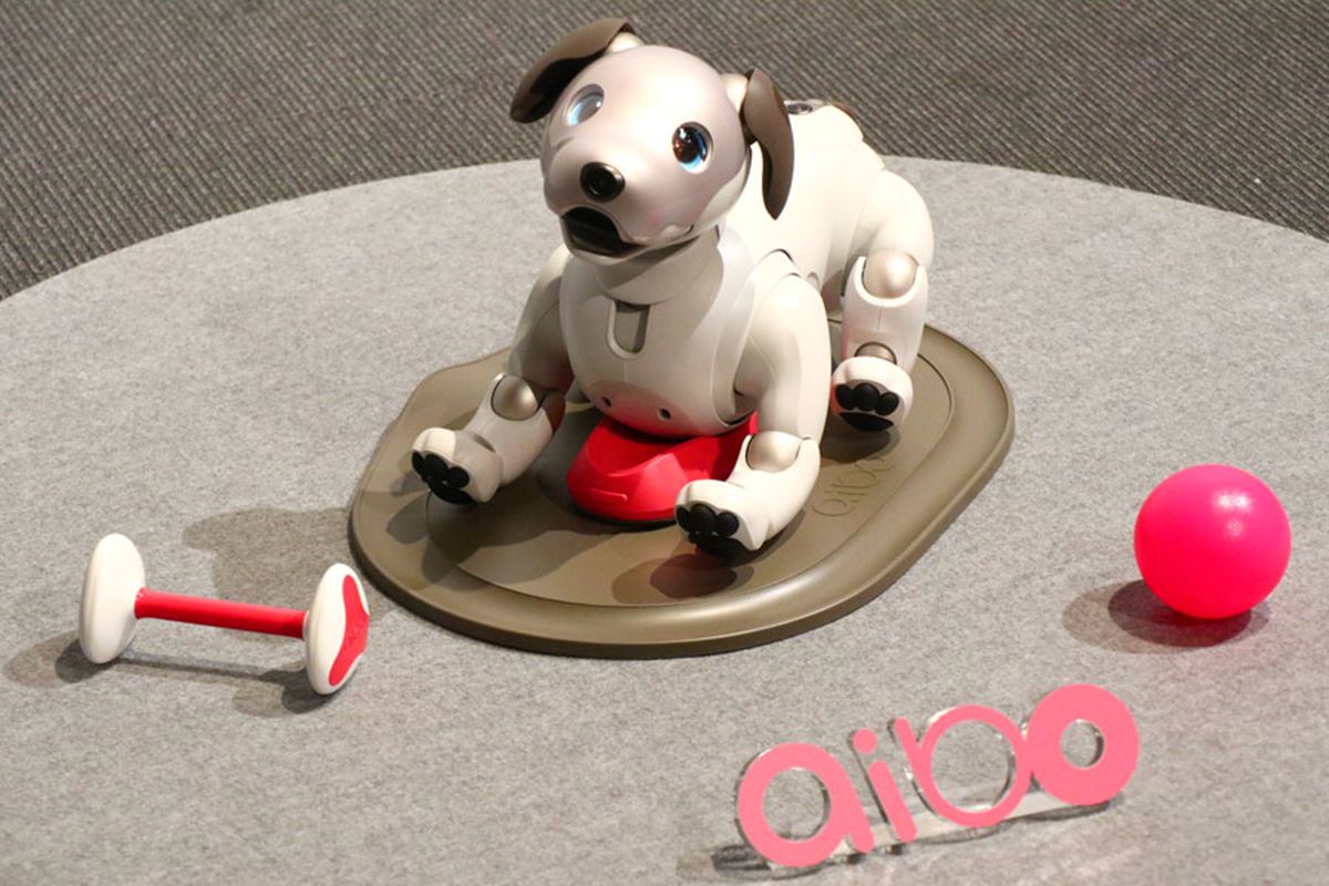 aibo アイボ ERS-1000 ロボット犬 Sony aibo Companion Robot | ERS1000