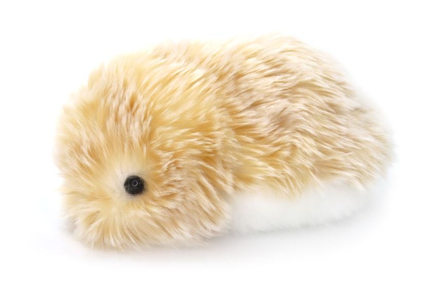 AIペット コミュニケーションロボットmoflin モフリン ゴールド