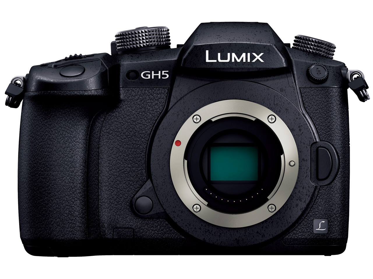 パナソニック LUMIX DC-GH5S バッテリー＋レンズセット パナソニック