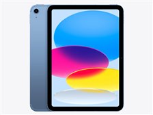 Apple iPad 11インチ Wi-Fi+Cellular 256GB 2025年春モデル docomo