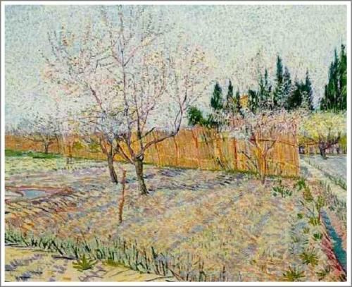 フィンセント・ファン・ゴッホ、花咲く杏の木、希少な画集より、状態