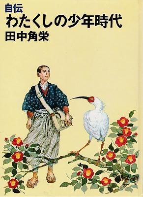 自伝 わたくしの少年時代 - ハナメガネ商会