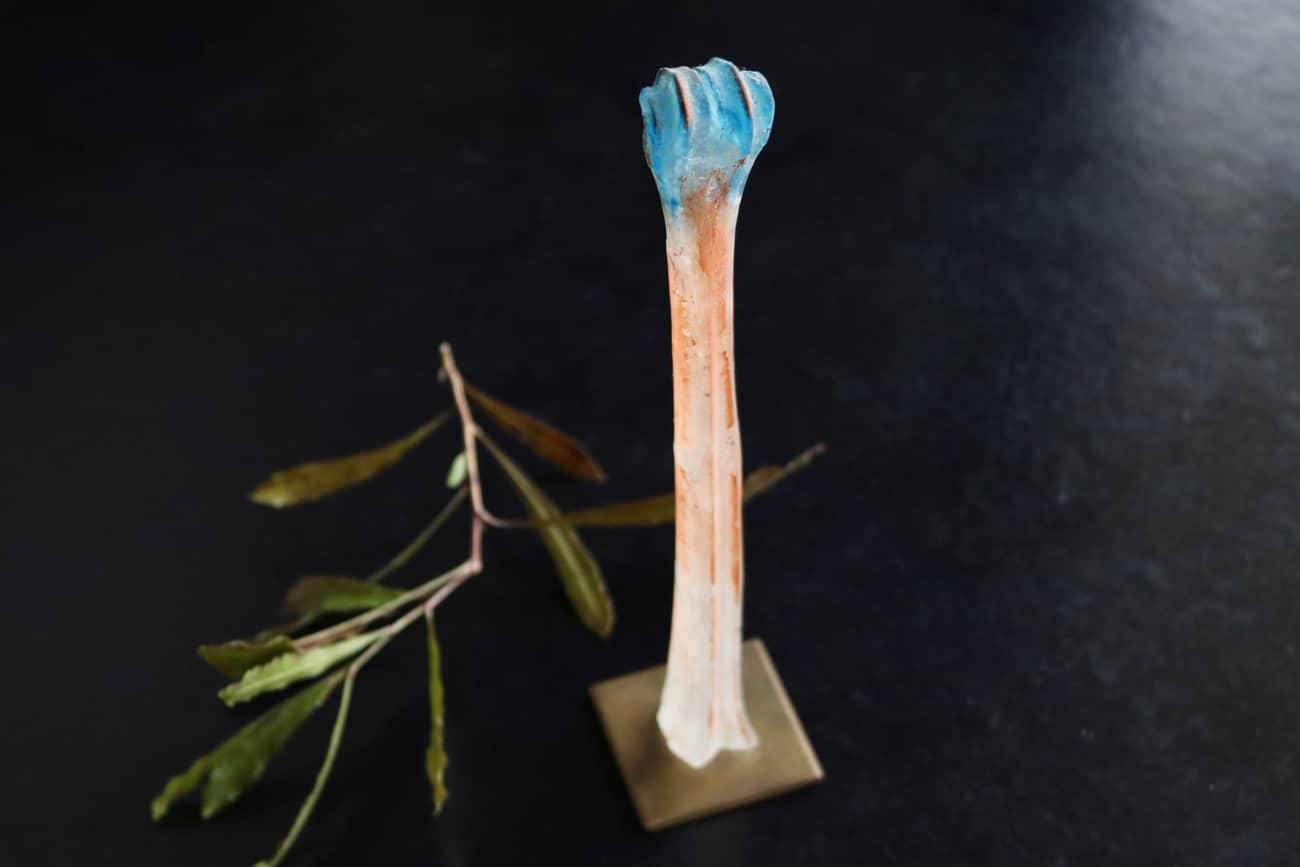 熊谷 峻 〈Shun Kumagai〉足付き杯 【公式通販】