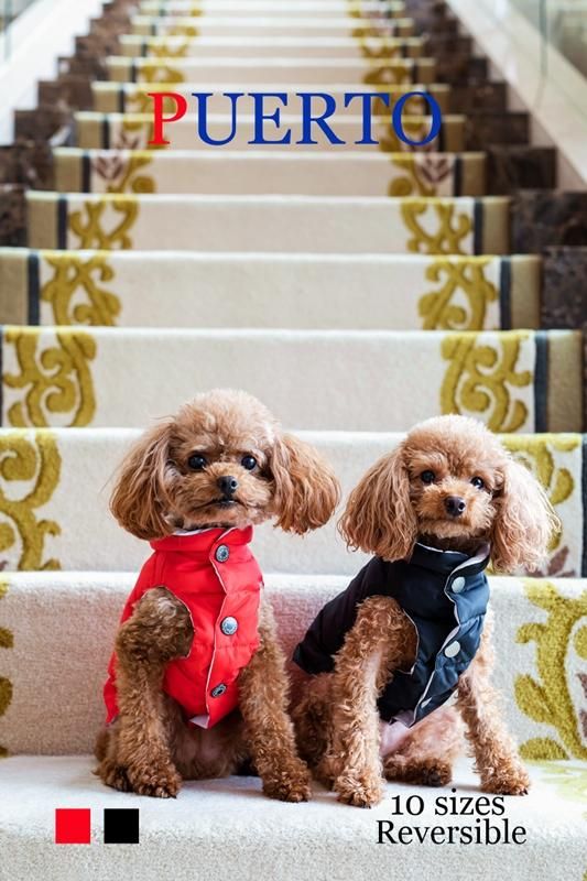 犬服 PUERTO プエルト GG MADE IN TOKYO.