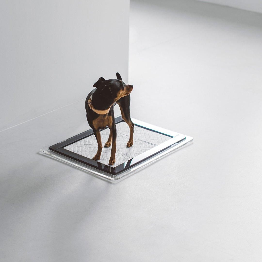 アクリル トイレトレイ - ドッググッズ・猫グッズ通販 free stitch