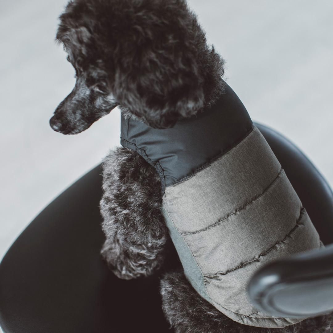 ダックダウンツートンジャケット - ドッググッズ・猫グッズ通販 free