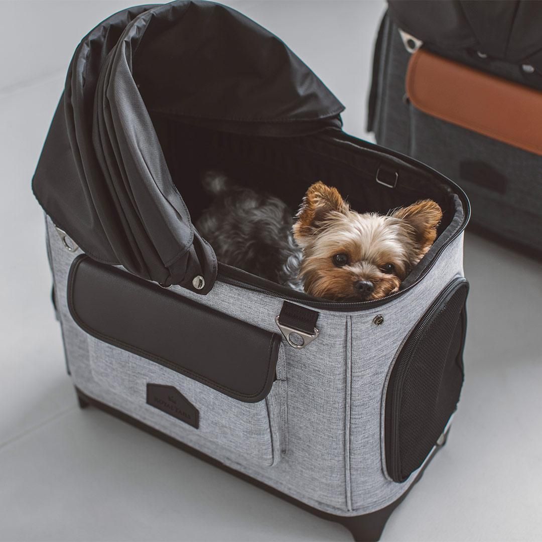 ROYAL TAILS Alice（ロイヤルテイルズ アリス） - ドッググッズ・猫