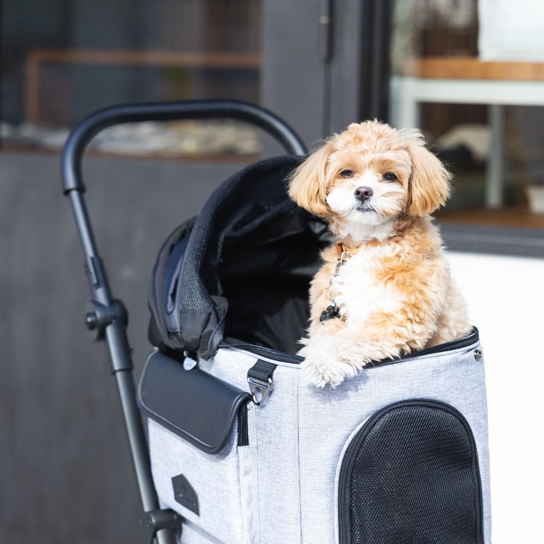 ROYAL TAILS Alice（ロイヤルテイルズ アリス） - ドッググッズ・猫