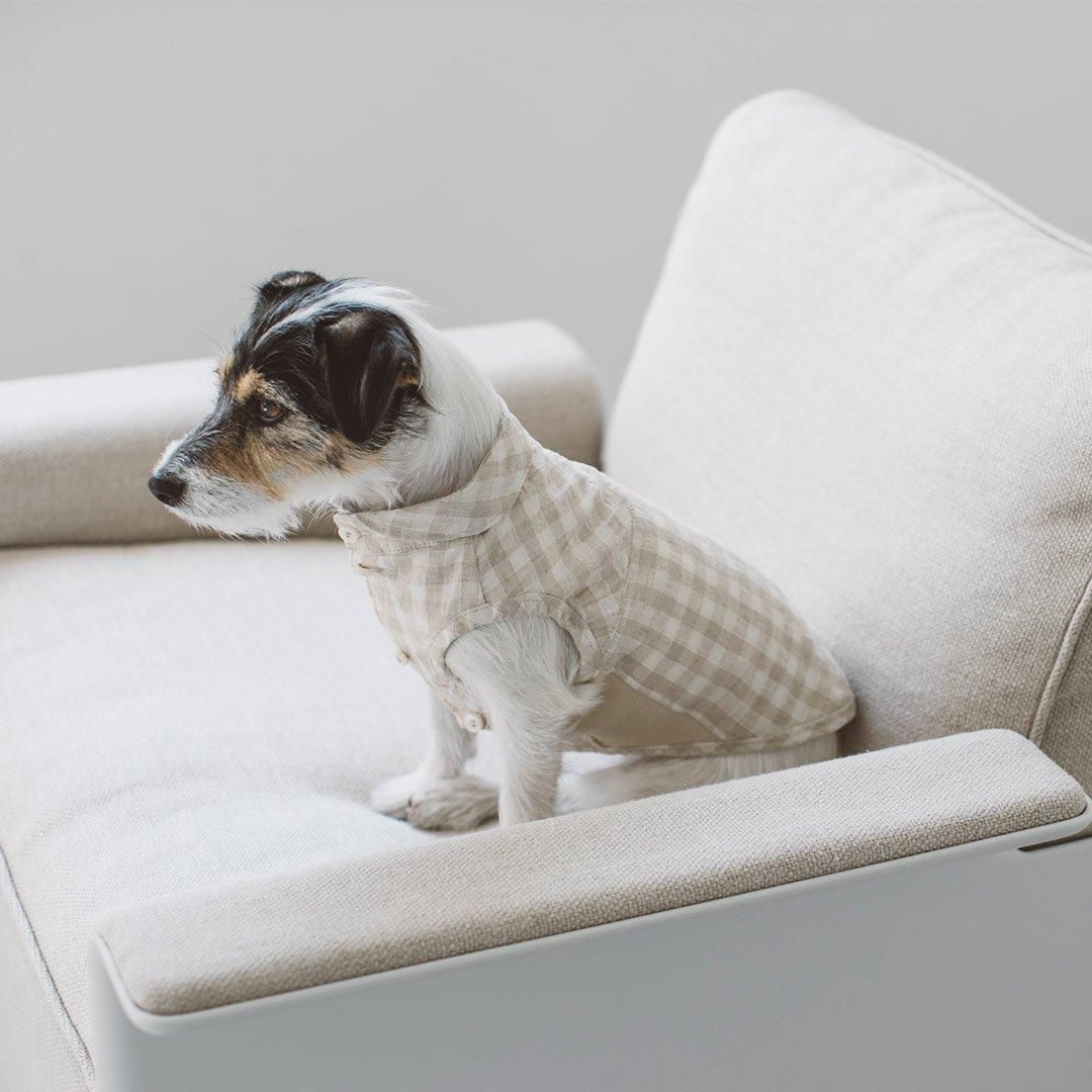 ドビーチェックコットンリネンシャツ - ドッググッズ・猫グッズ通販