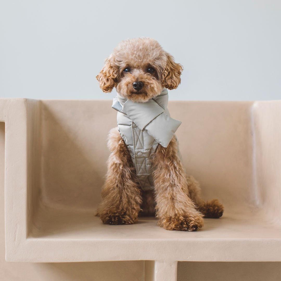 ダックダウン ジャケット＆マフラーセット - ドッググッズ・猫グッズ