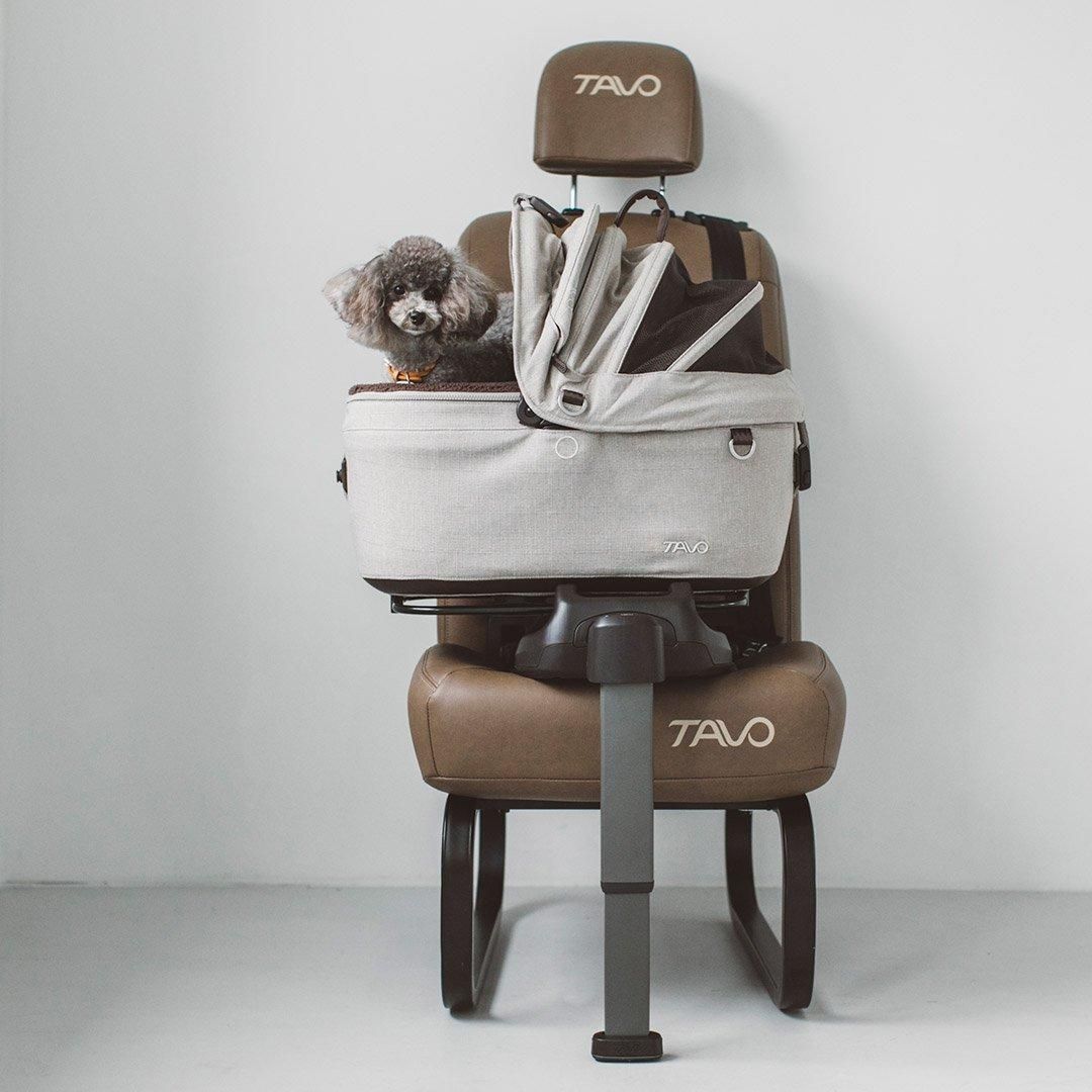 TAVO Maeve メイブ＋Roscoe ロスコー＋ベース 5R(SF)・5X - ドッグ