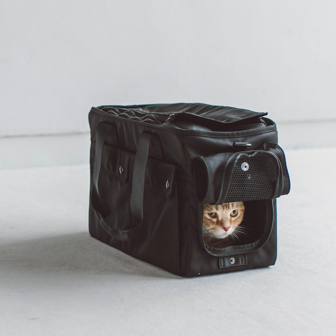 バルコディキャリー - ドッググッズ・猫グッズ通販 free stitch