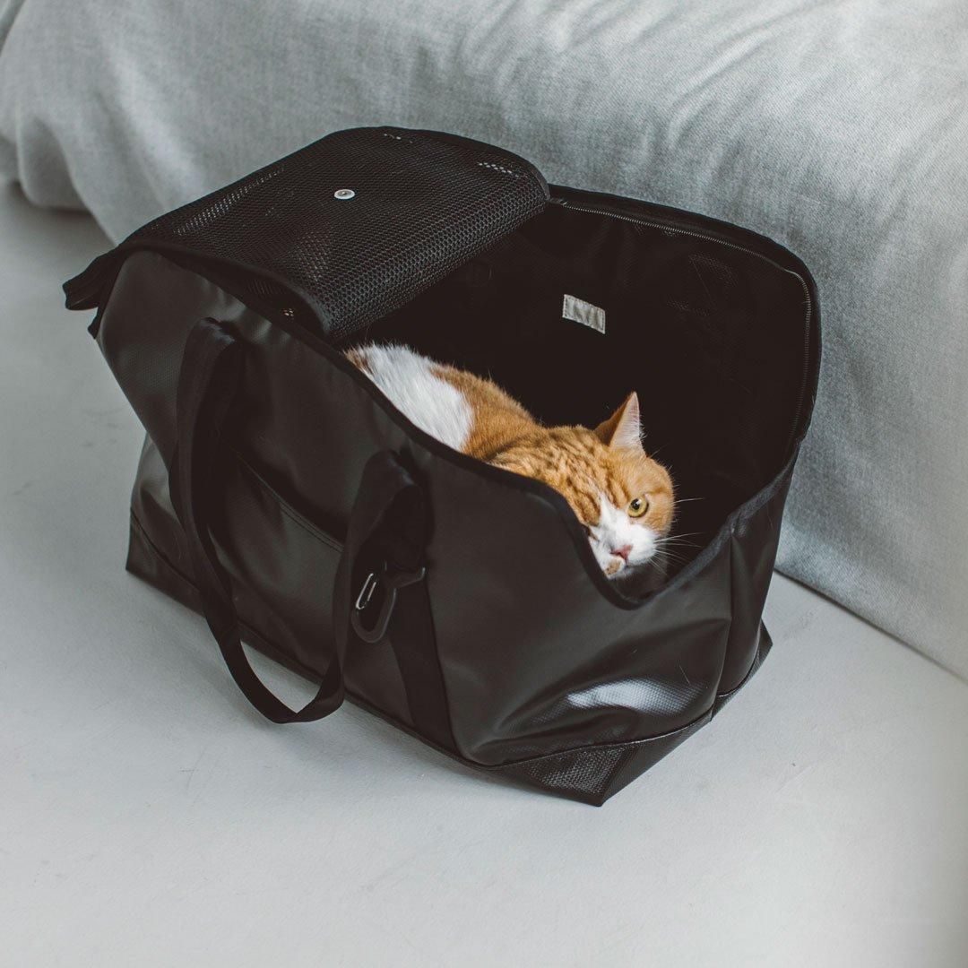 スクエアトートターポリン - ドッググッズ・猫グッズ通販 free stitch