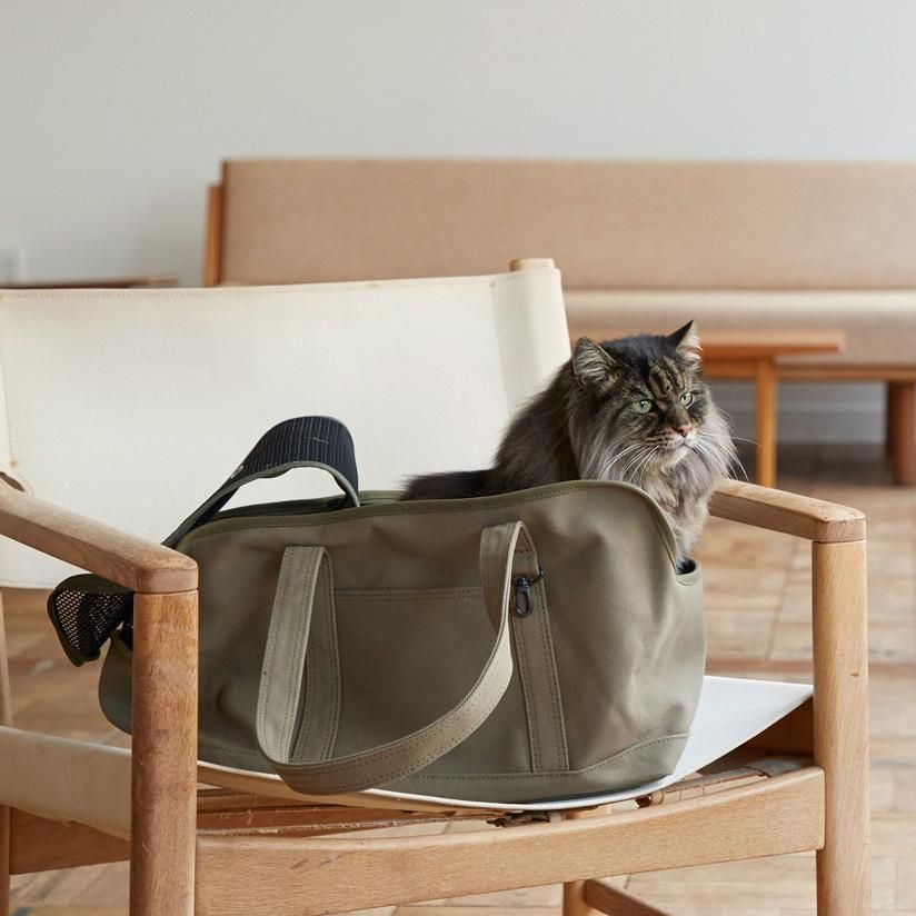 スクエアトート キャンバス ソリッド - ドッググッズ・猫グッズ通販