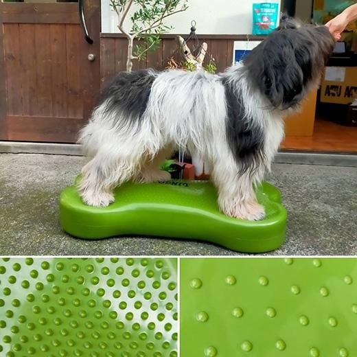 DINGO バランスディスク | ボーン L - ディンゴ（DINGO）/大型・超大型