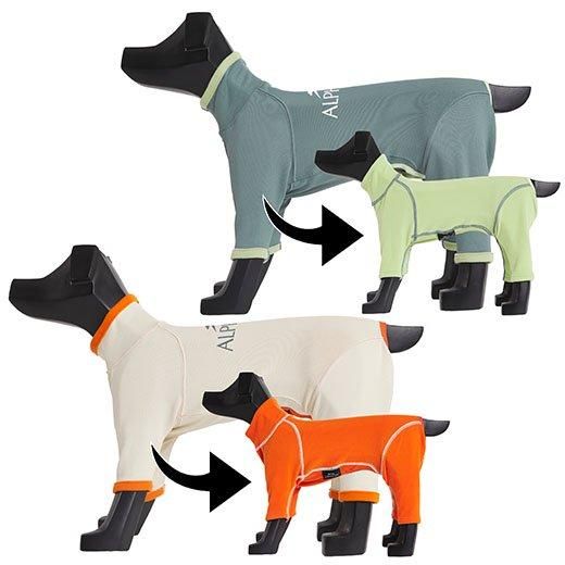 ALPHAICON HOT DOG GUARD ホットドッグガード frost ALPHAICON HOT DOG