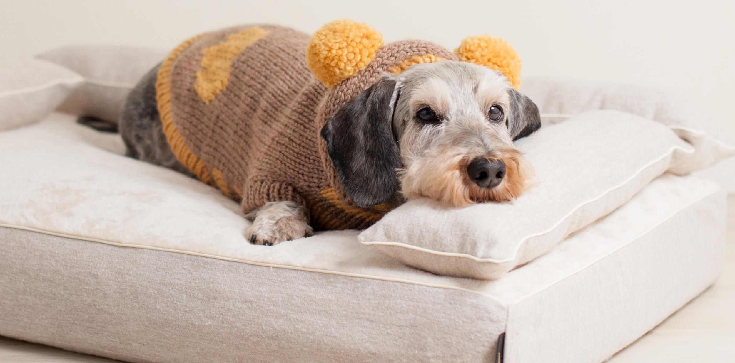 ロイヤルベッド本体（トリプルクッション）【XXS/XS/S/M/L/XLサイズ