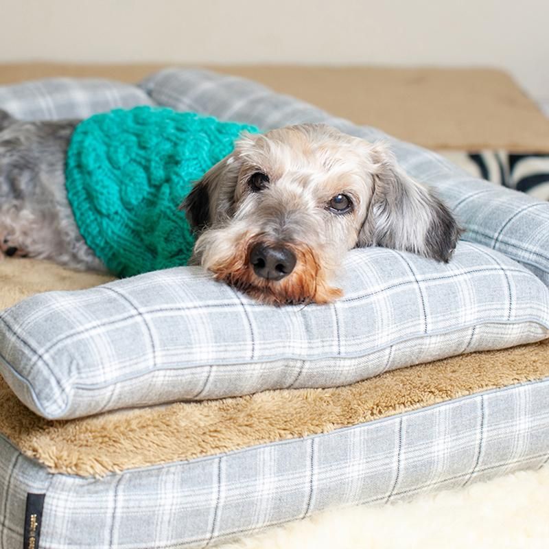 洗える日本製・高級犬用ベッド｜アンベルソ公式通販