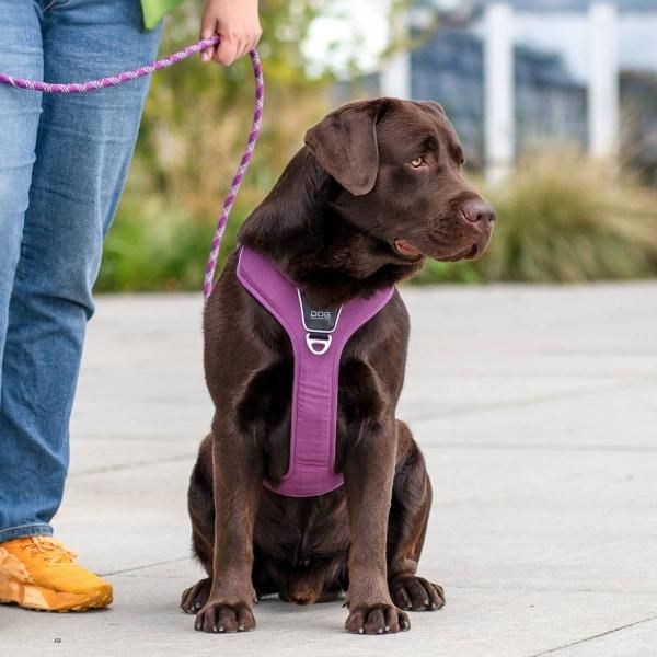 ドッグコペンハーゲンハーネス・COMFORT WALK PRO HARNESS（小型-大型