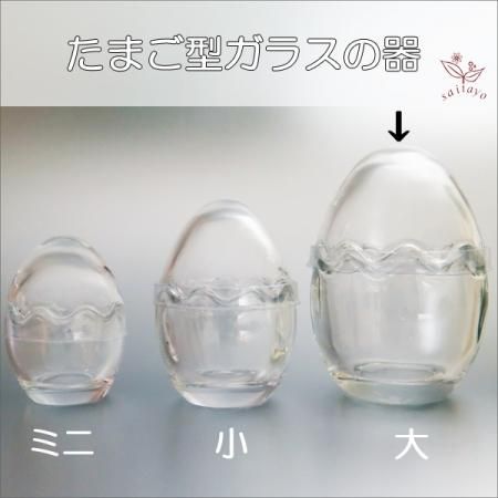 ガラス製たまご型カップ 大 （花器やテラリウムの容器、小物入れなど）
