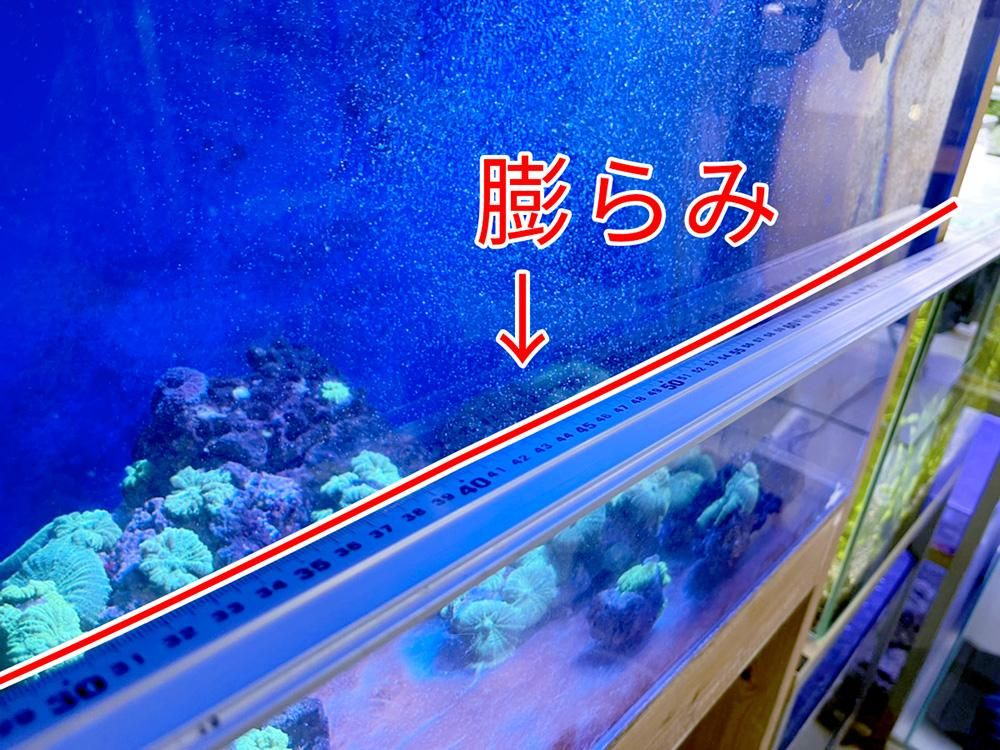 大型プラスチック水槽 青