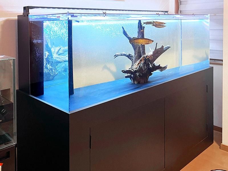 アクリル 水槽 1500」の人気商品一覧 | 安い商品を通販サイトから探す