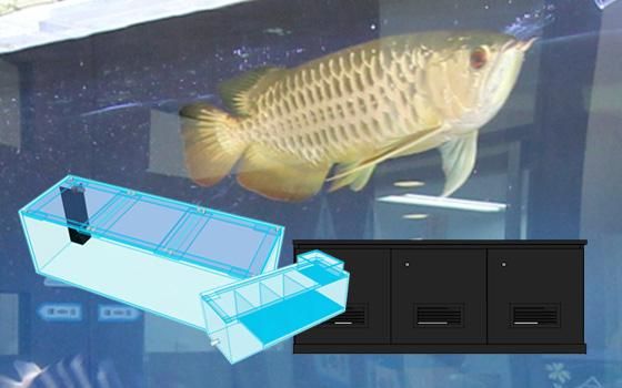 180cmアロワナ水槽セット（木製水槽台）※別途送料がかかります