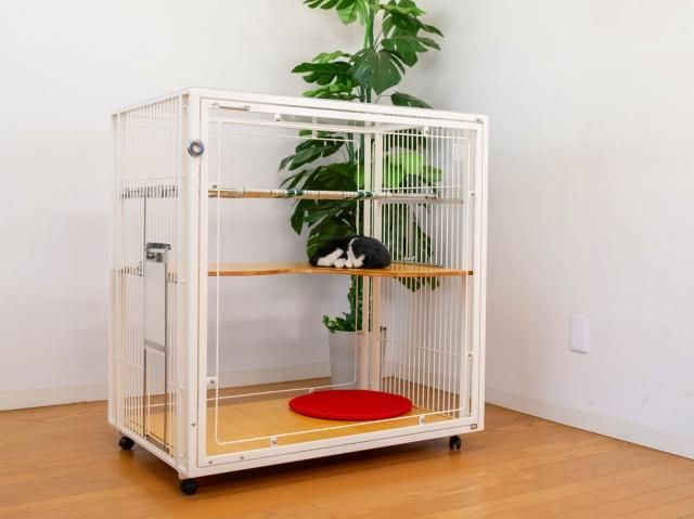 お急ぎセット］おしゃれな子猫用キャットケージ白 - 犬猫用ケージ