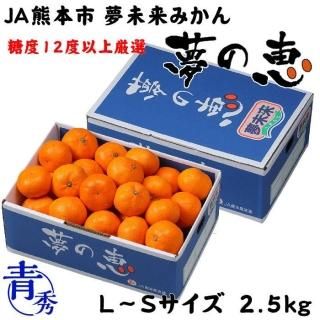みかん 夢の恵 青秀 L～Sサイズ 2.5kg プレミアムみかん 糖度12度以上