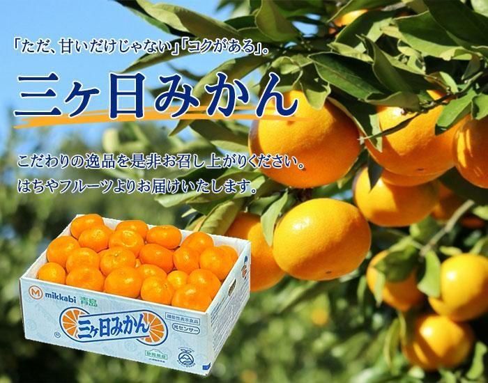 みかん 三ヶ日みかん 良 L～Sサイズ 8kg 静岡県産 JAみっかび ミカン