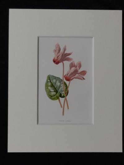 67215937.jpg?20131126164108