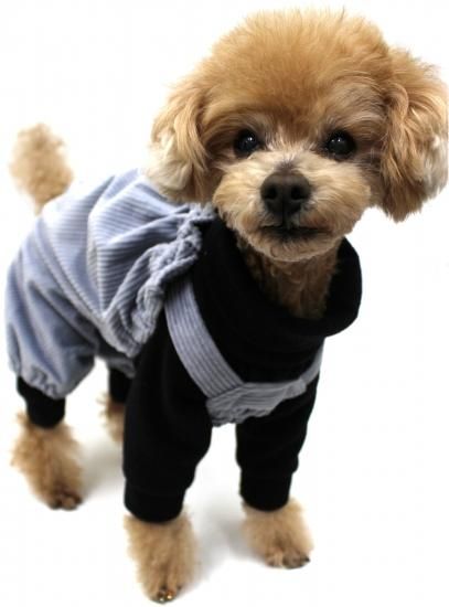 イルメール イーマリー 切り替えキャスケット イルメール イーマリー