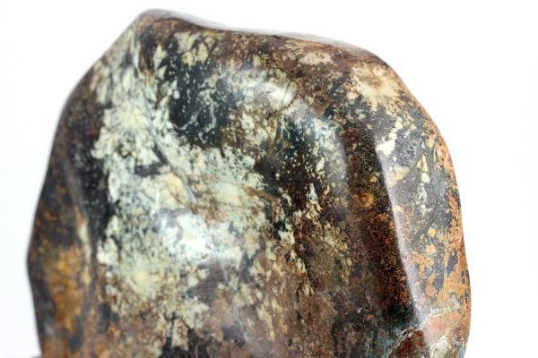 菊花石 岐阜県根尾谷産 川ずれ3.2キロ 鑑賞石 観賞石 自然石 天然石