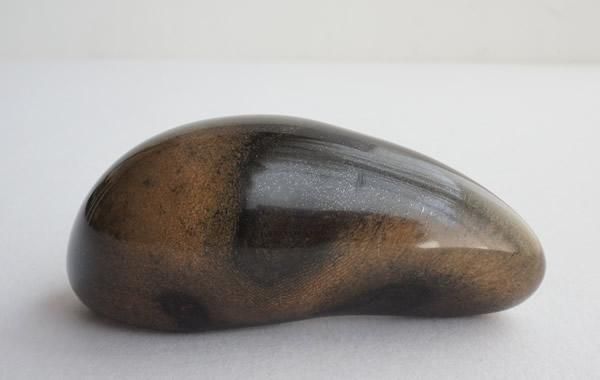 クジラの耳骨の化石 Fossil Whale Middle Ear Bone(Tympanic Bulla