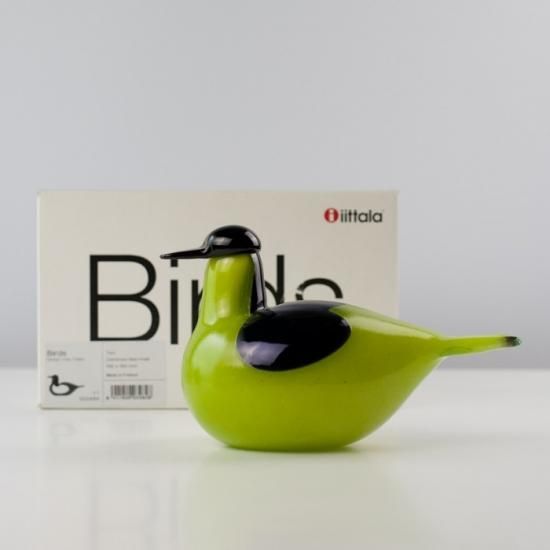 OIVA TOIKKA Common Teal male