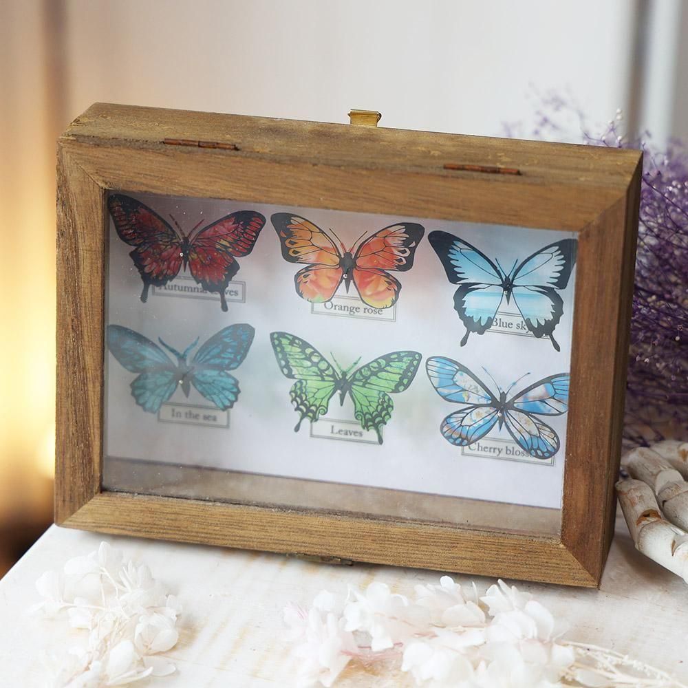 蝶標本箱オブジェ（6匹入り）-2 - 海福雑貨通販部