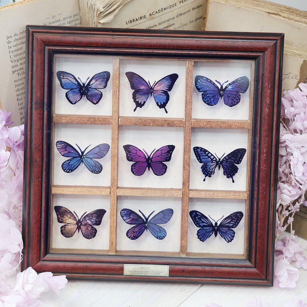 蝶標本希少ウスドイツガラス木箱現状品41x50x6cm写真がご確認し