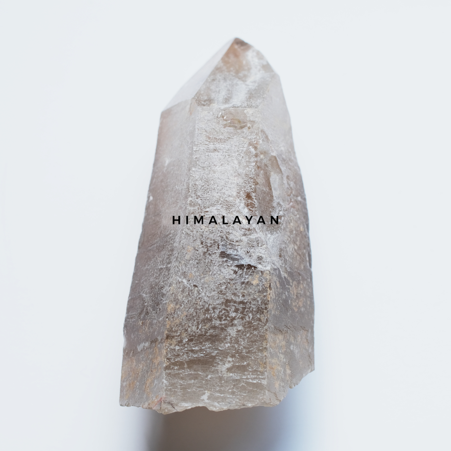 HIMALAYAN QUARTZ ヒマラヤンクォーツ - LIGHTNESS TREE / ライトネス