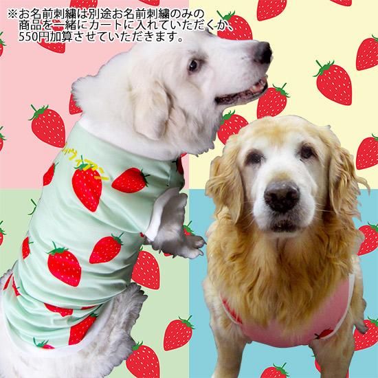 犬服 S わんこの普段着 いちごにラメドット 犬服 SS わんこの普段着