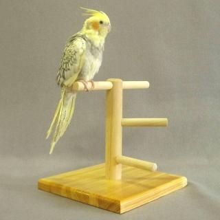 オウムスタンド&インコスタンド&止まり木 オウムスタンド&止まり木他