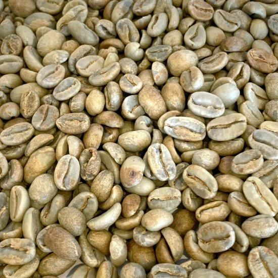 東ティモール エルメラ ハニー | 高品質な独特風味 - 松屋珈琲