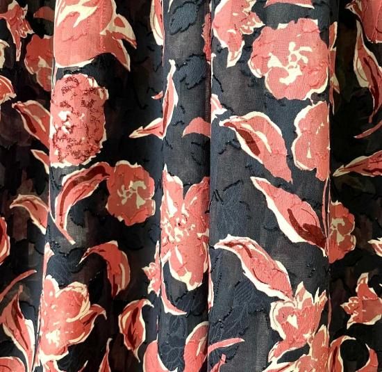 ASH SHOMKA コアラ 49cm