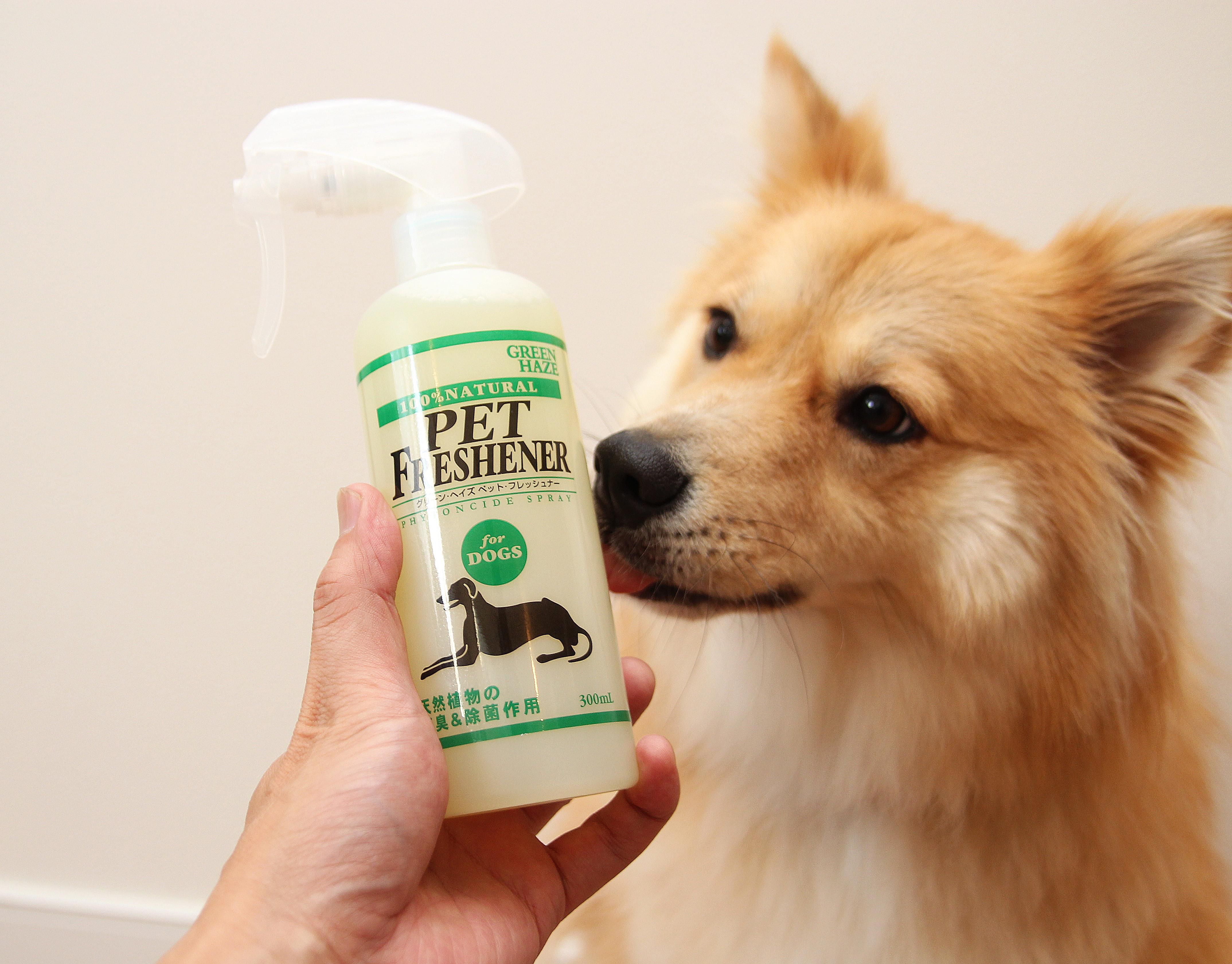 GREENHAZE ペット・フレッシュナー犬用｜DeLoreans