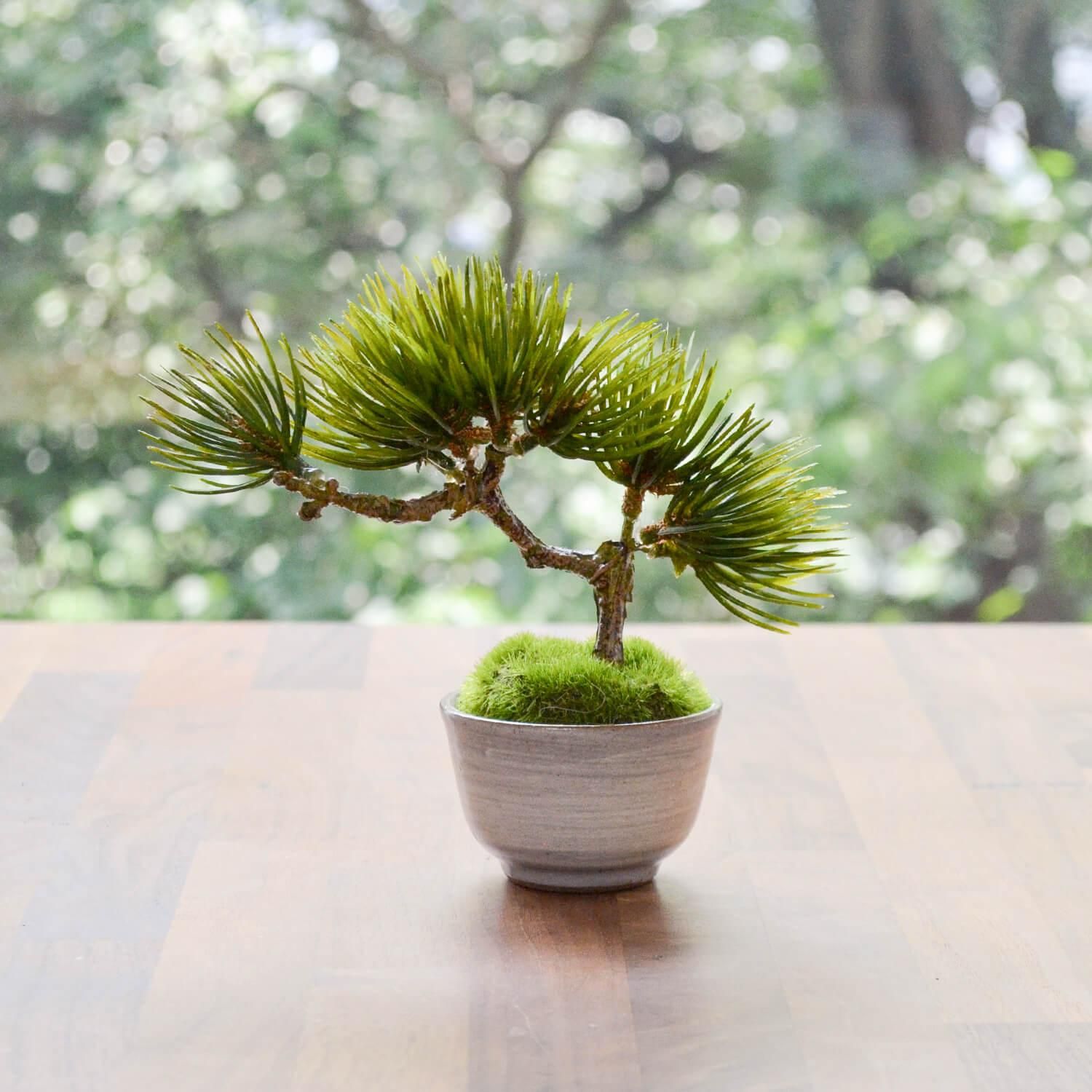 人工ライブロック 2点セット‼️ 盆栽型 人工ライブロック 2点セット