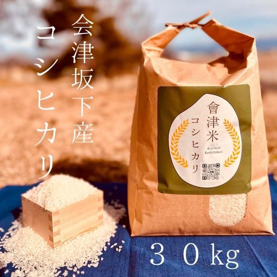 新米・令和4年産玄米新潟新之助 オファー 30kg（10kg×3）精米無料農家