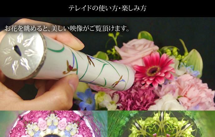 有田焼万華鏡 リンドフィールド（テレイド）（香蘭社） - Arita