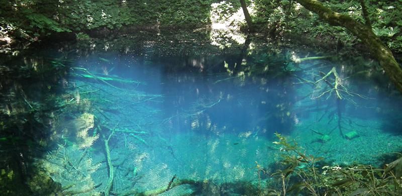 青森県/白神ガラス工房】にんにくペーパーウェイト 水色