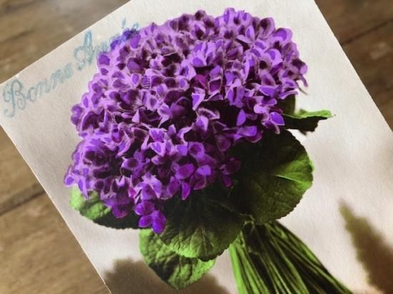 フランス/すみれの花束/89x140mm/管理番号DR0069 - slowtime