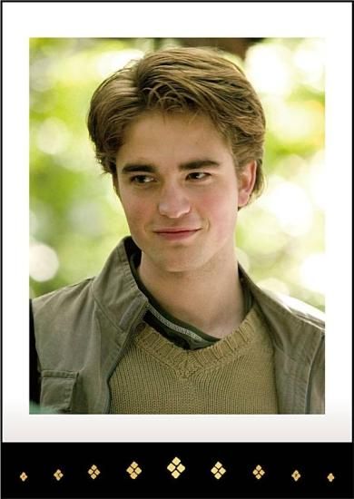 19.セドリック・ディゴリー】ハリー・ポッター ぱしゃこれ 実写