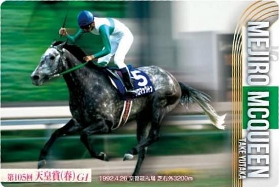 トウカイテイオー 天皇賞 春.秋G1馬券.入場券まとめて東京.京都1992年